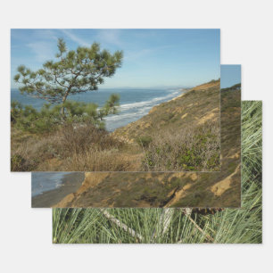 Torrey Pine en Californische kustlijn landschap Inpakpapier Vel