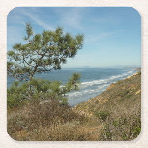 Torrey Pine en Californische kustlijn landschap Kartonnen Onderzetters