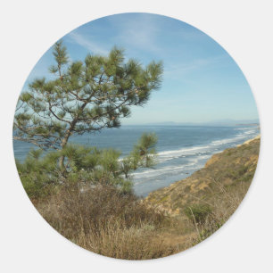 Torrey Pine en Californische kustlijn landschap Ronde Sticker