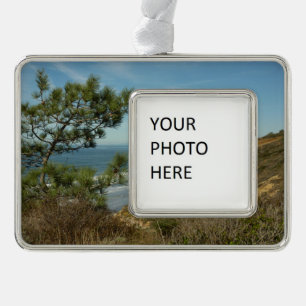 Torrey Pine en Californische kustlijn landschap Verzilverd Omlijst Ornament
