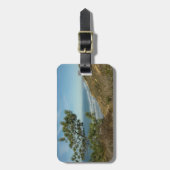 Torrey Pine en het kustlandschap van Californië Bagagelabel (Voorkant verticaal)