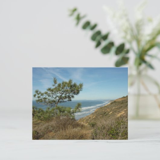 Torrey Pine en het kustlandschap van Californië Briefkaart (Staand voorkant)