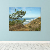 Torrey Pine en het kustlandschap van Californië Canvas Afdruk (Insitu (Houten vloer))