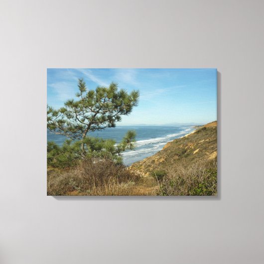 Torrey Pine en het kustlandschap van Californië Canvas Afdruk (Voorkant)