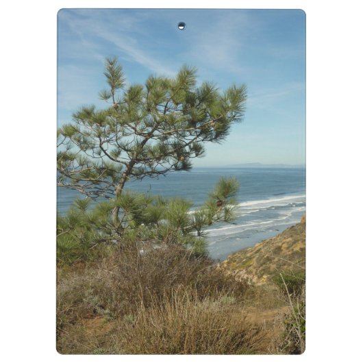 Torrey Pine en het kustlandschap van Californië Klembord (Achterkant)