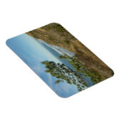 Torrey Pine en het kustlandschap van Californië Magneet (Rechterzijde)