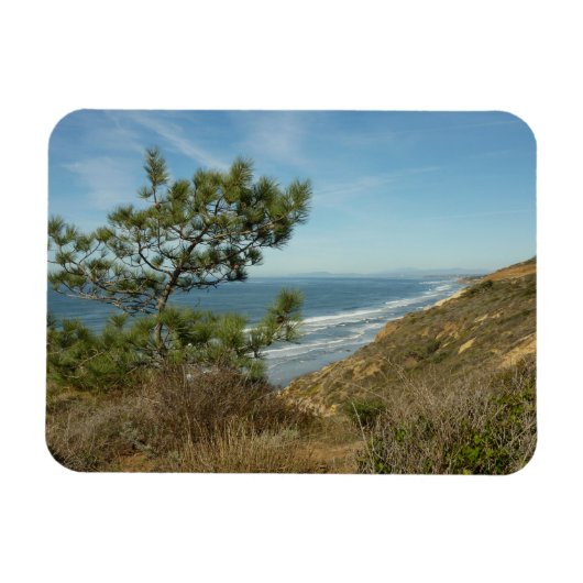 Torrey Pine en het kustlandschap van Californië Magneet (Horizontaal)