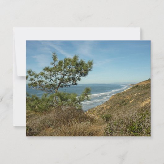 Torrey Pine en het kustlandschap van Californië Notitiekaartje (Voorkant)