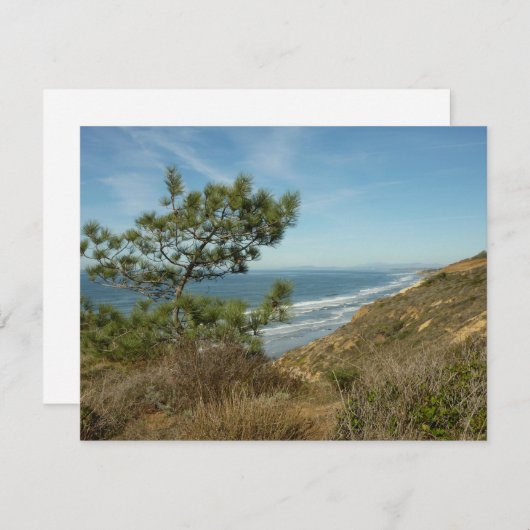 Torrey Pine en het kustlandschap van Californië Notitiekaartje (Voorkant / Achterkant)