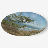 Torrey Pine en het kustlandschap van Californië Papieren Bordje (Gekanteld)