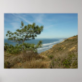 Torrey Pine en het kustlandschap van Californië Poster (Voorkant)