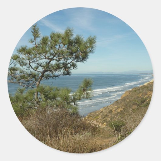Torrey Pine en het kustlandschap van Californië Ronde Sticker (Voorkant)