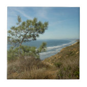 Torrey Pine en het kustlandschap van Californië Tegeltje (Voorkant)