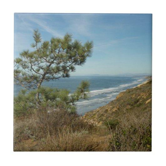 Torrey Pine en het kustlandschap van Californië Tegeltje (Voorkant)
