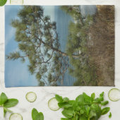 Torrey Pine en het kustlandschap van Californië Theedoek (Gevouwen)