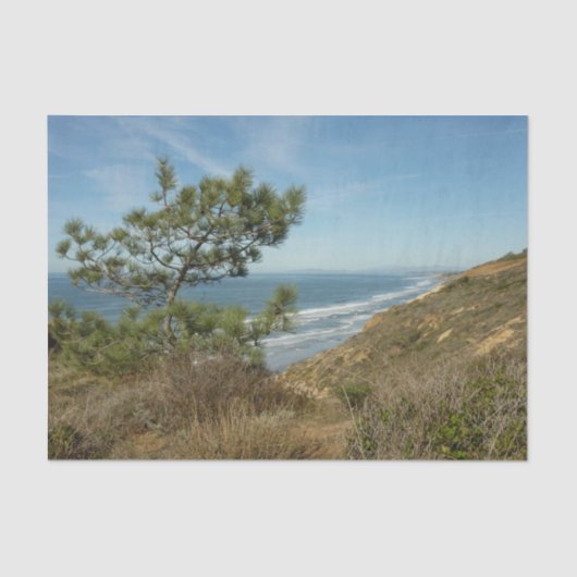 Torrey Pine en het kustlandschap van Californië Tissuepapier (Voorkant)