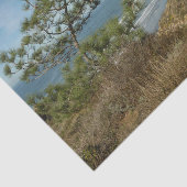Torrey Pine en het kustlandschap van Californië Tissuepapier (Detail)