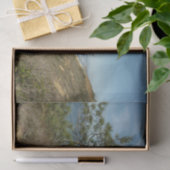 Torrey Pine en het kustlandschap van Californië Tissuepapier (Geschenk)