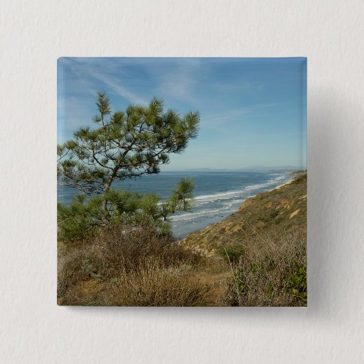Torrey Pine en het kustlandschap van Californië Vierkante Button 5,1 Cm (Voorkant)