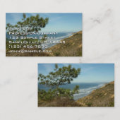 Torrey Pine en het kustlandschap van Californië Visitekaartje (Voorkant / Achterkant)