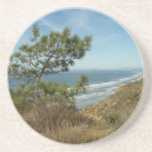 Torrey Pine en het kustlandschap van Californië Zandsteen Onderzetter (Voorkant)