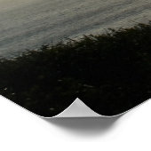 Torrey Pine Silhouette Matte Canvas Poster (Hoek)