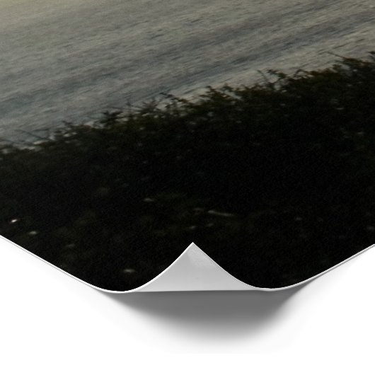 Torrey Pine Silhouette Matte Canvas Poster (Hoek)