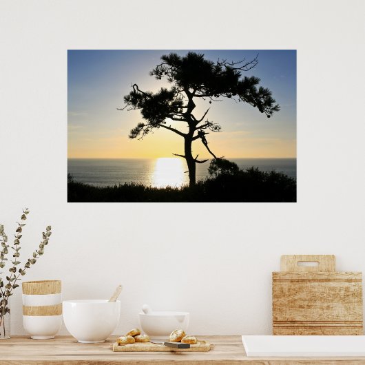 Torrey Pine Silhouette Matte Canvas Poster (Keuken)