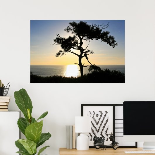 Torrey Pine Silhouette Matte Canvas Poster (Thuiskantoor)