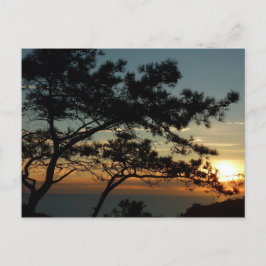 Torrey Pine Sunset I California Landscape Briefkaart