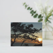 Torrey Pine Sunset I California Landscape Briefkaart (Staand voorkant)