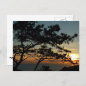 Torrey Pine Sunset I California Landscape Briefkaart (Voorkant / Achterkant)