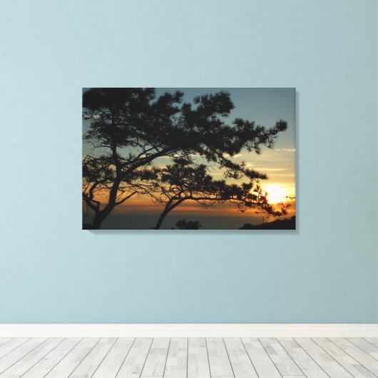 Torrey Pine Sunset I California Landscape Canvas Afdruk (Insitu (Houten vloer))