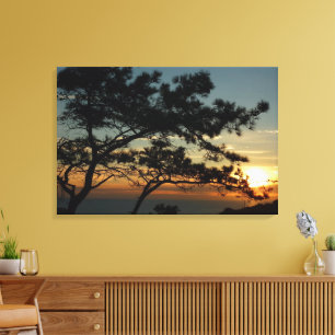 Torrey Pine Sunset I California Landscape Canvas Afdruk