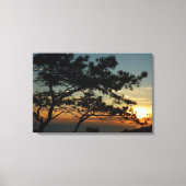 Torrey Pine Sunset I California Landscape Canvas Afdruk (Voorkant)