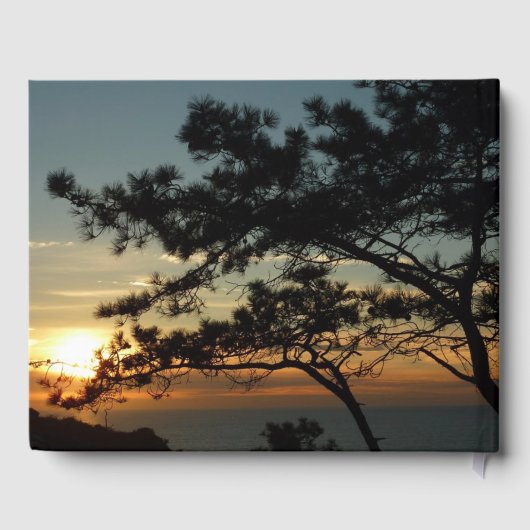 Torrey Pine Sunset I California Landscape Gastenboek (Achterkant)