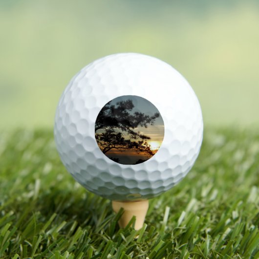 Torrey Pine Sunset I California Landscape Golfballen (Insitu Shirt)