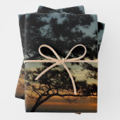 Torrey Pine Sunset I California Landscape Inpakpapier Vel (In situ)