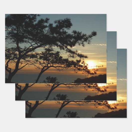 Torrey Pine Sunset I California Landscape Inpakpapier Vel (Set)