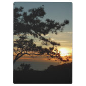 Torrey Pine Sunset I California Landscape Klembord (Achterkant)