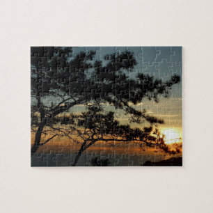 Torrey Pine Sunset I California Landscape Legpuzzel