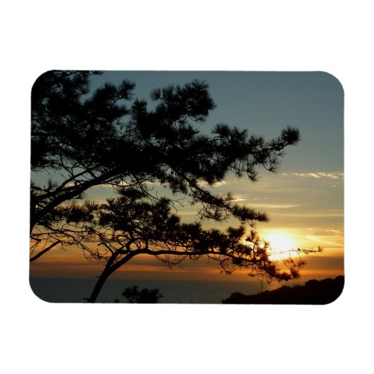 Torrey Pine Sunset I California Landscape Magneet (Horizontaal)