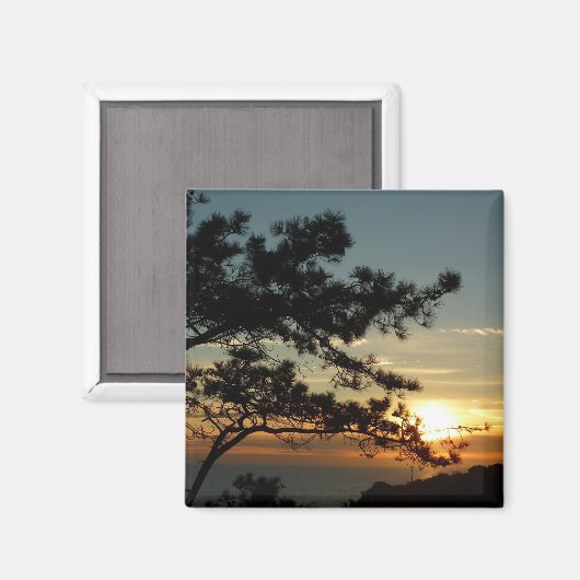 Torrey Pine Sunset I California Landscape Magneet (Voorkant / Achterkant)