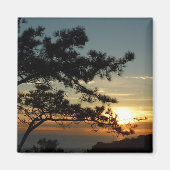 Torrey Pine Sunset I California Landscape Magneet (Voorkant)