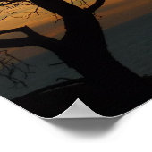 Torrey Pine Sunset I California Landscape Poster (Hoek)