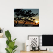 Torrey Pine Sunset I California Landscape Poster (Thuiskantoor)