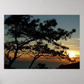 Torrey Pine Sunset I California Landscape Poster (Voorkant)