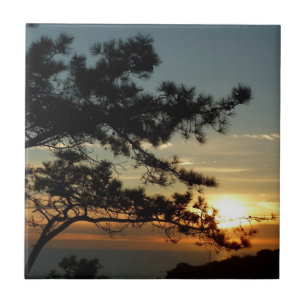 Torrey Pine Sunset I California Landscape Tegeltje