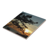 Torrey Pine Sunset I California Landscape Tegeltje (Zijkant)