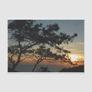 Torrey Pine Sunset I California Landscape Tissuepapier